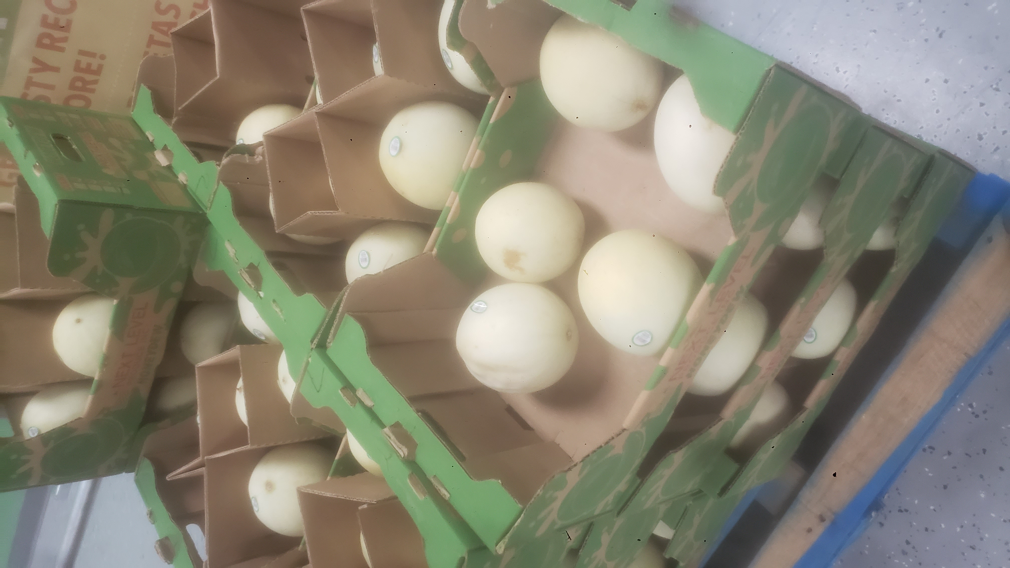 Produce cardboard boxes of honeydew melons.
